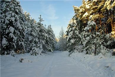 《勇者斗恶龙10离线版》新情报 战斗职业系统公开